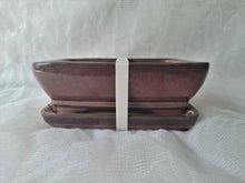 Load image into Gallery viewer, 8 inch Bonsai pot with saucer
