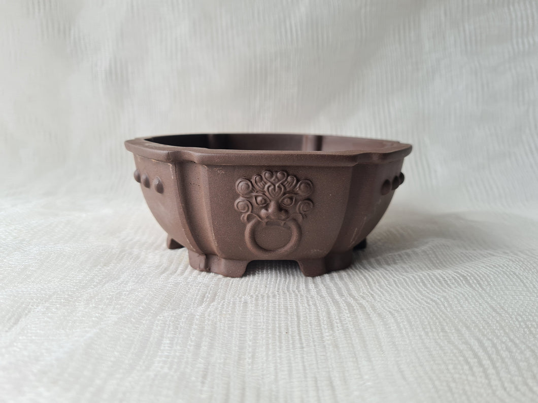 Premium Bonsai Pot