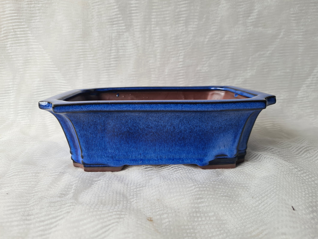 6 inch Bonsai Pot