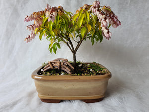 Bonsai Figurines