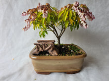 Load image into Gallery viewer, Bonsai Figurines

