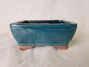 6 inch Deep Bonsai pot