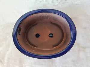 8 inch Bonsai pot with saucer