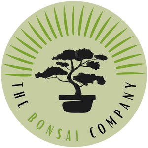 The Bonsai Company