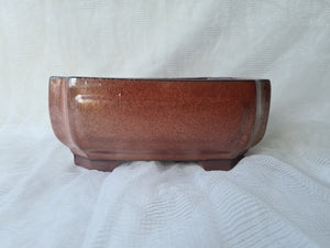 10 inch Deep Bonsai pot