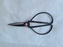 Load image into Gallery viewer, Bonsai Scissors ( Medium )
