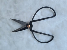 Load image into Gallery viewer, Bonsai Scissors ( Medium )
