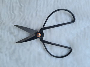 Bonsai Scissors ( Medium )