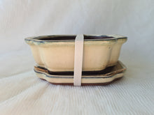 Load image into Gallery viewer, 8 inch Bonsai pot with saucer
