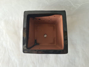 8 inch Semi Cascade Bonsai Pot