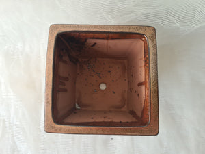 8 inch Semi Cascade Bonsai Pot