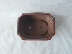 8 inch Deep Bonsai Pot