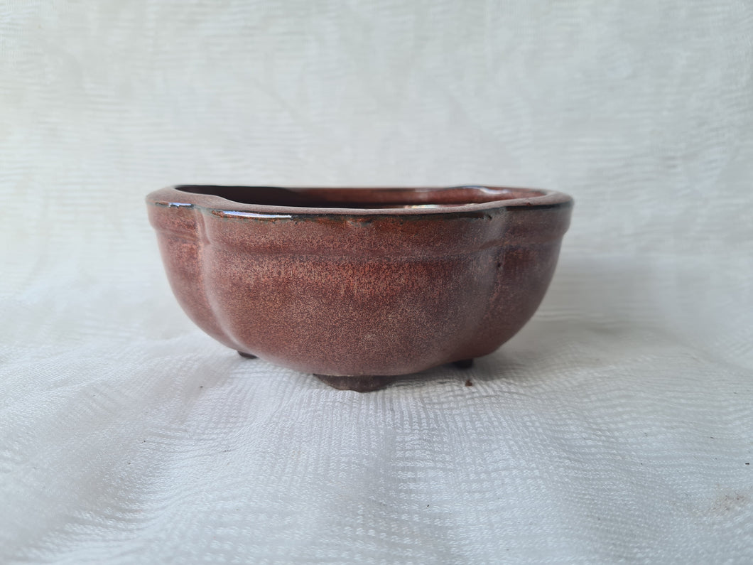 6 inch Deep Bonsai Pot